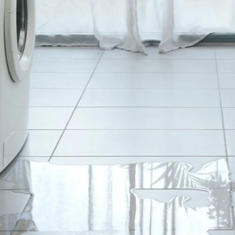 Appliance Leak Cleanup in Lucasville, OH