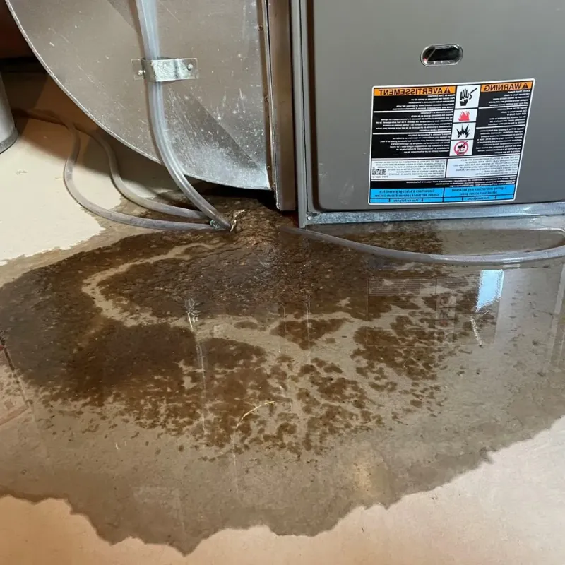 Pipe Burst and Leak Restoration in Lucasville, OH