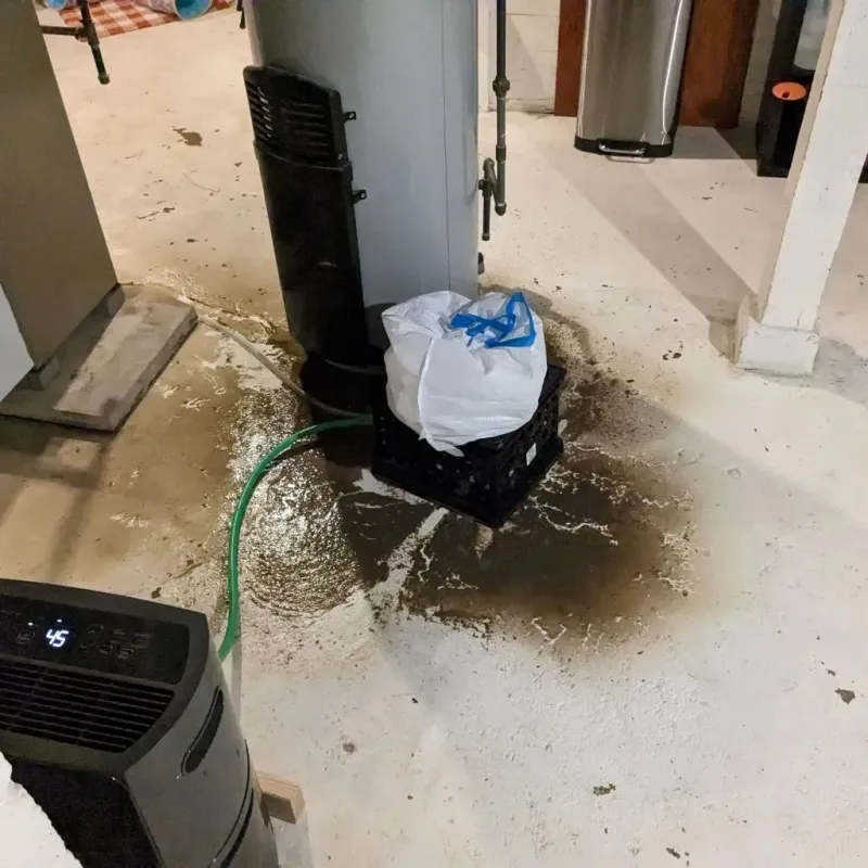 Sewage Backup Cleanup Service in Lucasville, OH